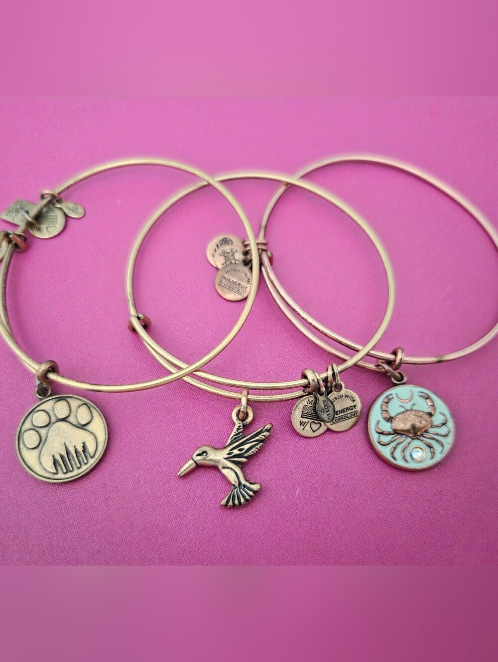 ALEX AND ANI Charm  Bracelets / Bangles - Hummingbird, Crab & Paw
